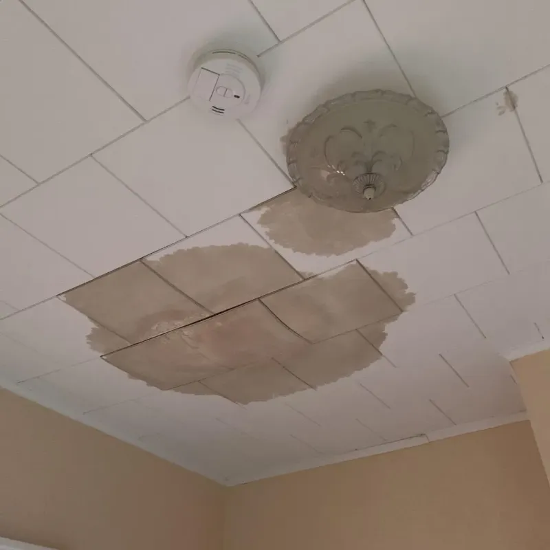 Ceiling Water Damage Repair in Cherryville, PA