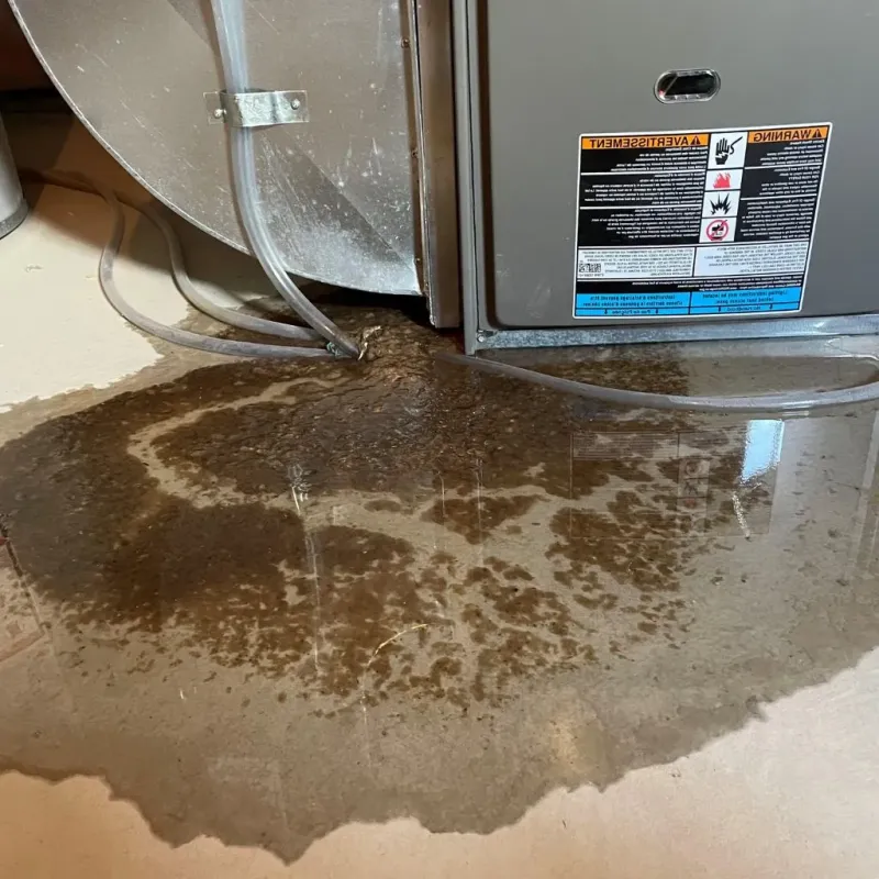 Pipe Burst and Leak Restoration in Cherryville, PA