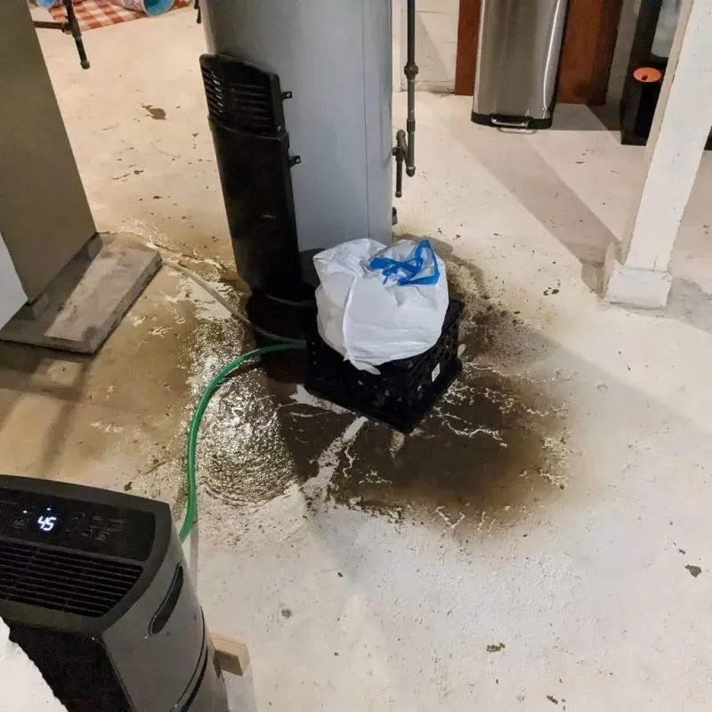 Sewage Backup Cleanup Service in Cherryville, PA